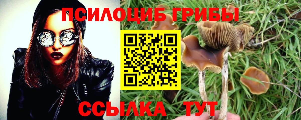 наркота  Вход с VPN  Благовещенск  Псилоцибиновые грибы Magic Shrooms  Галлюциногенные грибы Cubensis 